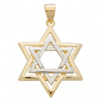 Gold Filled Large Two Tone Star of David Pendant